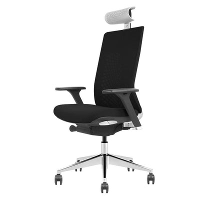 K20 Office Ergonomic Chair