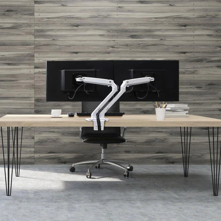 ERGOTRON MXV Desk Dual Monitor Arm - 24” each