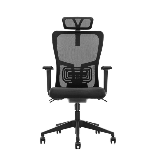 K5 TRULY 辦公室人體工學椅